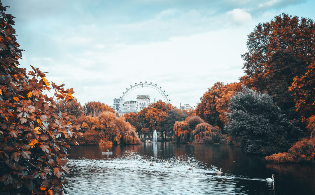 A serene view of a Park in London, featuring a picturesque lake surrounded by lush greenery and trees. The scene captures a peaceful atmosphere with reflections on the water and historic buildings in the background.